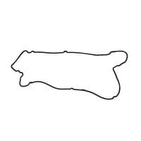 купить Прокладка клапанной крышки ISC, QSC, L, ISL, QSL